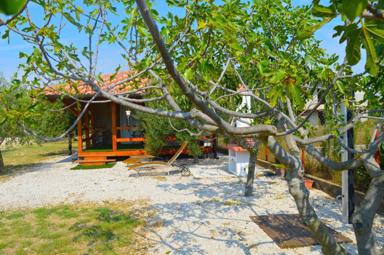 Studio Apartments Luka Biograd - Benkovac Eksteriør billede