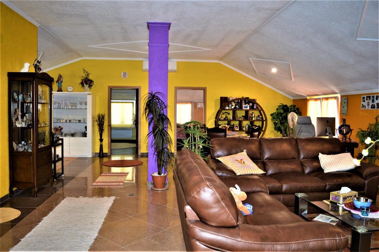 Studio Apartments Luka Biograd - Benkovac Eksteriør billede